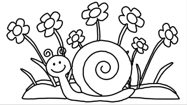 Улитка раскраска