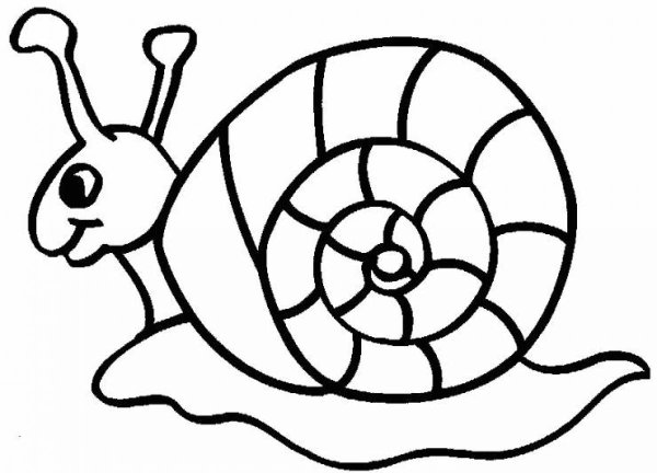 Улитка раскраска для детей