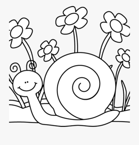 Раскраска улитка для детей 5-6 лет