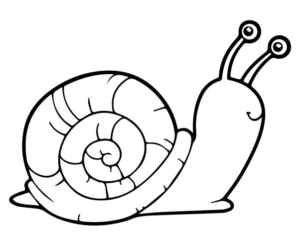 Улитка раскраска