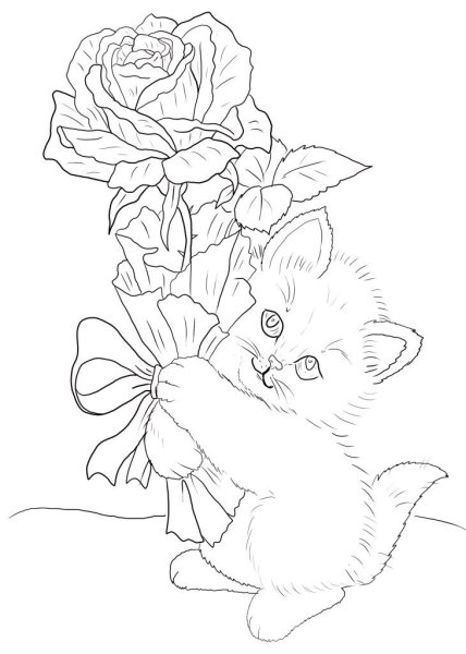 Котенок с цветком раскраска