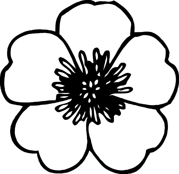 Цветок шаблон