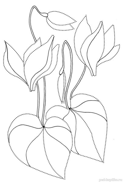 Рисование цветов по точкам