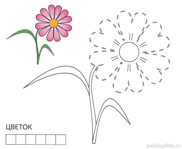 Цветы обводка для детей
