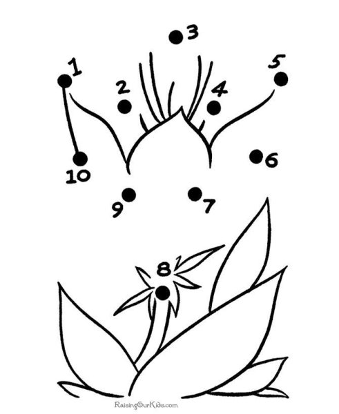 Рисование цветов по точкам