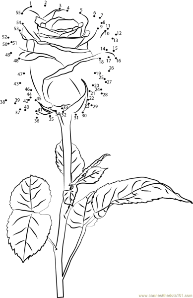 Рисуем по точкам цветок