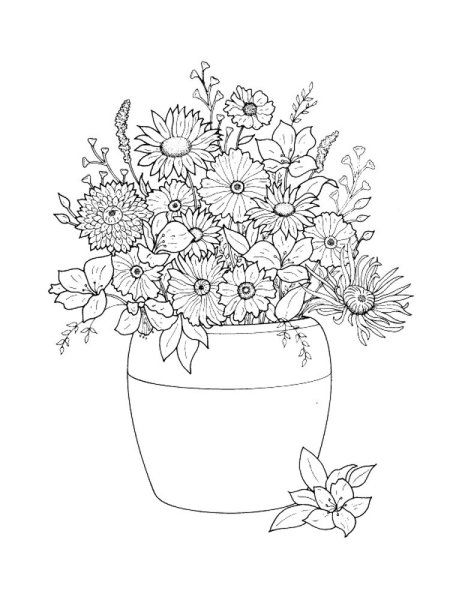 Полевые цветы букет раскраска