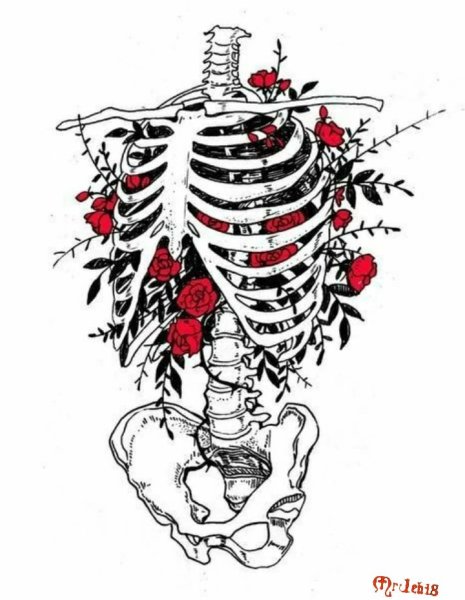 Грудная клетка с цветами
