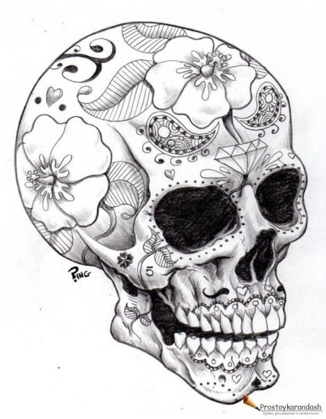 Череп рисунок