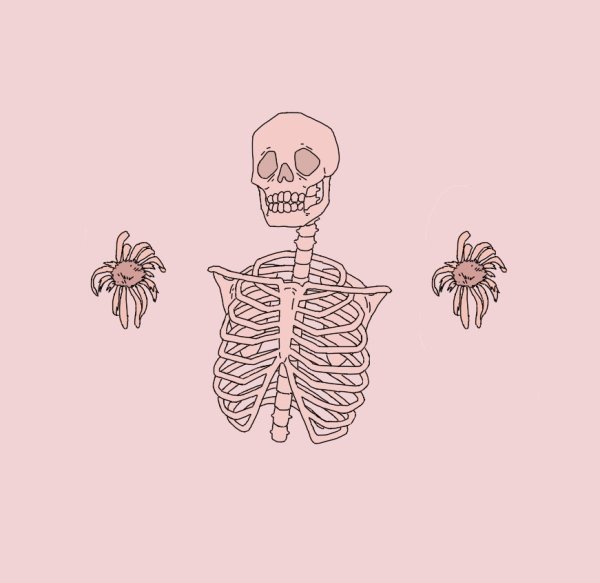 Скелет Эстетика из пинтереста