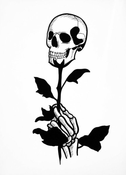 Маленький эскиз черепа