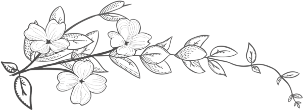 Веточки с цветами контур