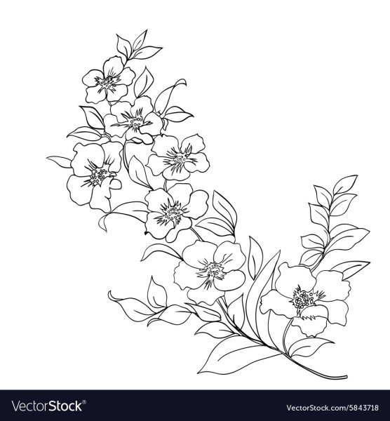 Веточка цветок контур