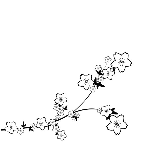 Ветка Сакуры