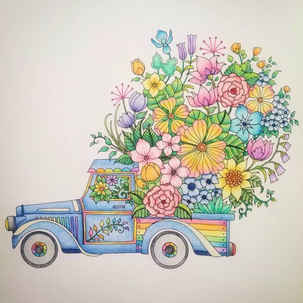 Цветочный грузовик Dimensions