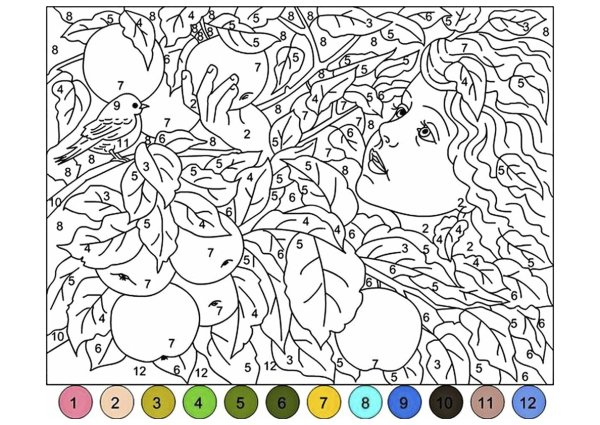 Раскраска по номерам