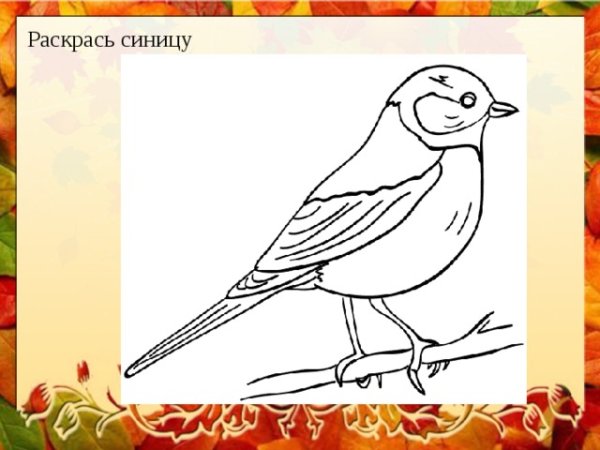 Синица раскрасить