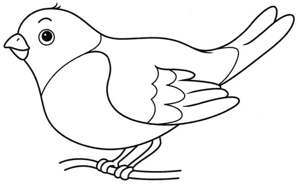 Снегирь раскраска для детей