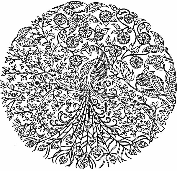 Джоанна Бэсфорд таинственный сад 20 арт-постеров