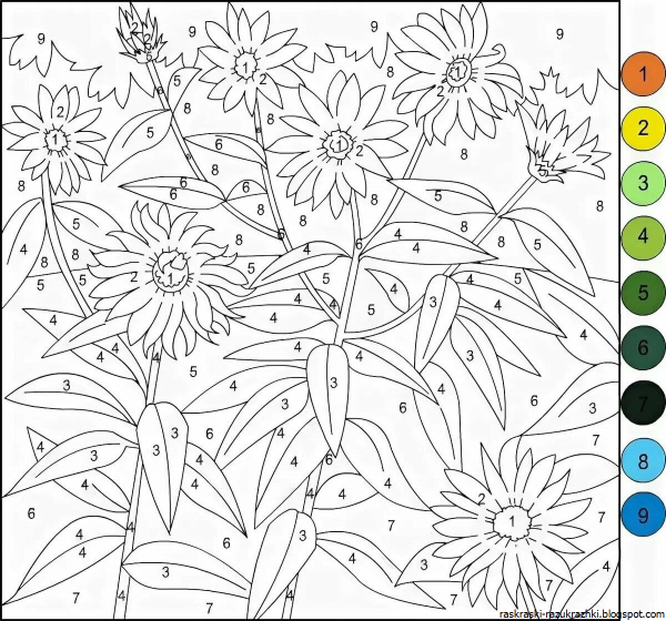 Раскраска по номерам цветы