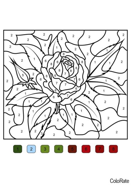 Раскраска по номерам цветы