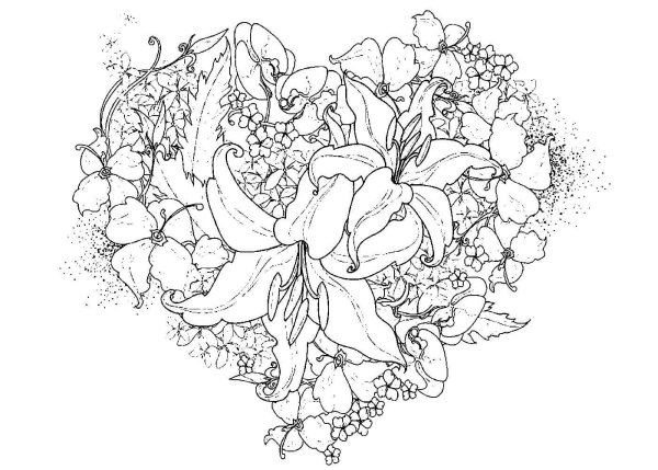 Раскраска антистресс "цветы"