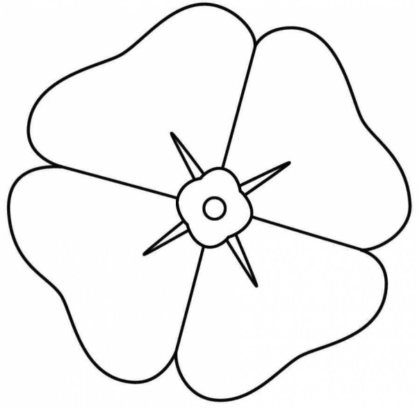 Шаблон цветка для раскрашивания