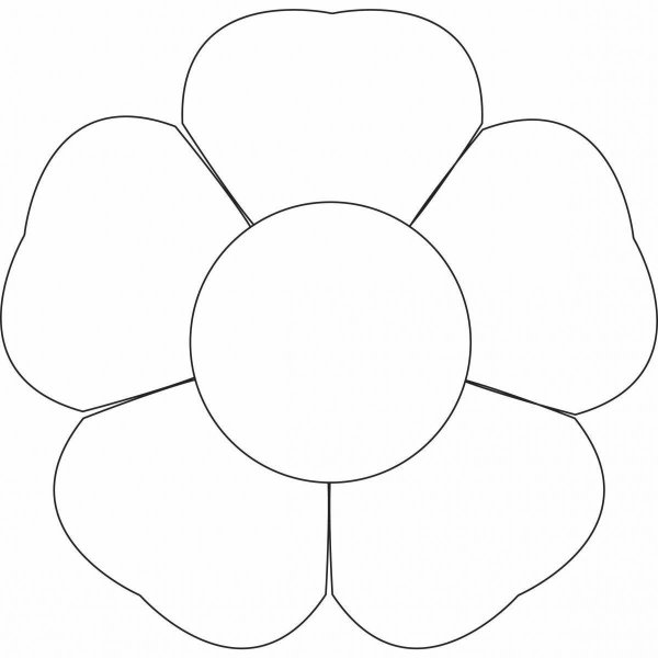 Цветы контур