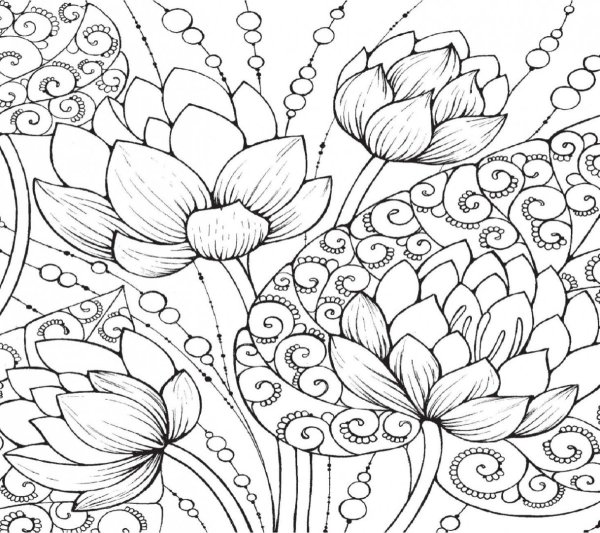 Раскраски антистресс цветы природа