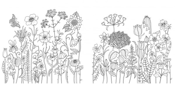 Бэсфорд Джоанна "мир цветов"