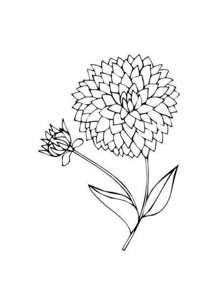 Осенние цветы маленькие картинки