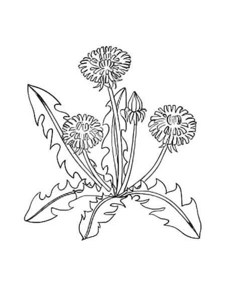 Мать и мачеха раскраска