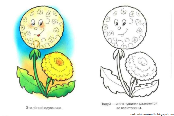 Одуванчик картинка для детей раскраска