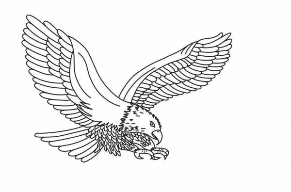 Раскраска ко Дню независимости Казахстана