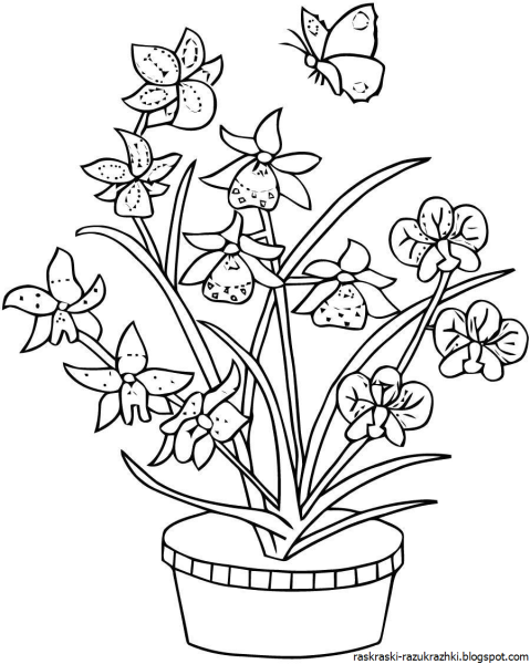 Цветы. Раскраска