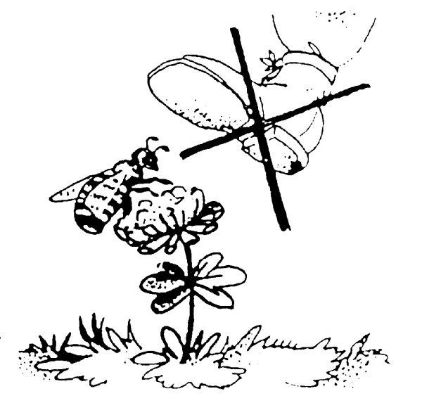 Раскраски по экологии для дошкольников