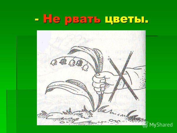 Рвать растения