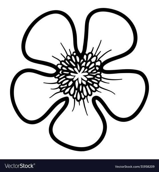 Лютик раскраска цветок