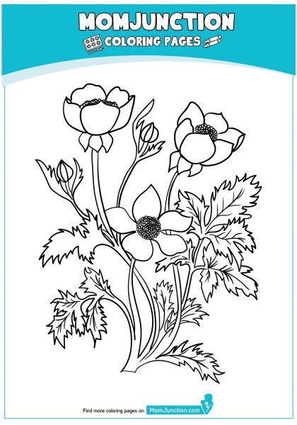 Букет желтых Лютиков раскраска