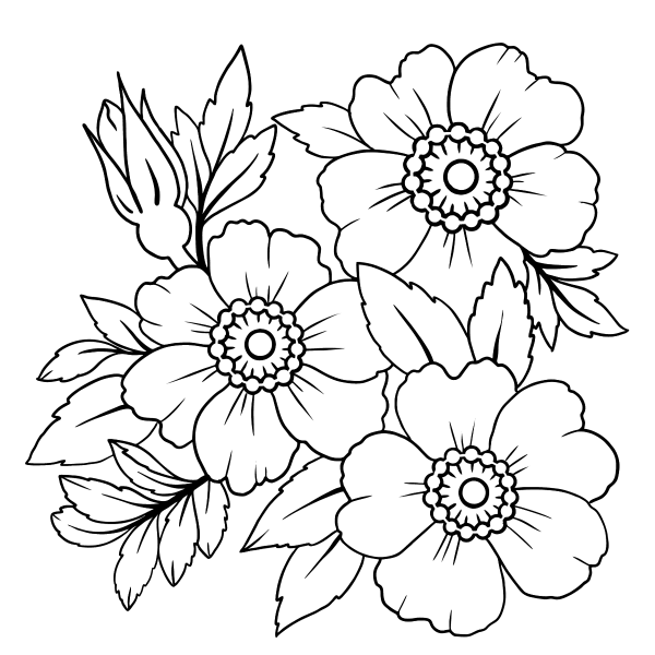 Ветреница цветок