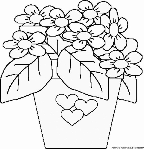 Раскракакомнатные растения