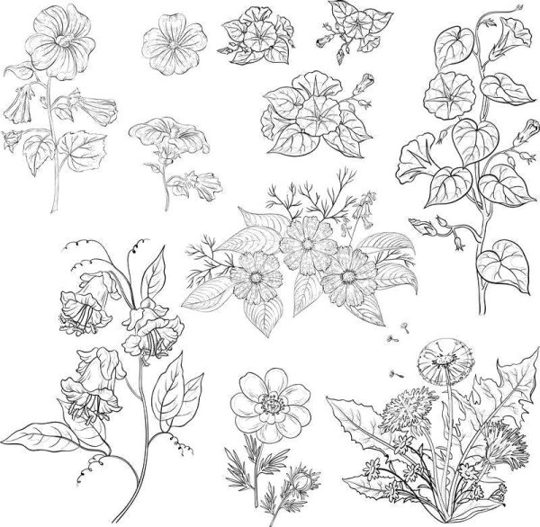 Цветы чёрно белые для скрапбукинга