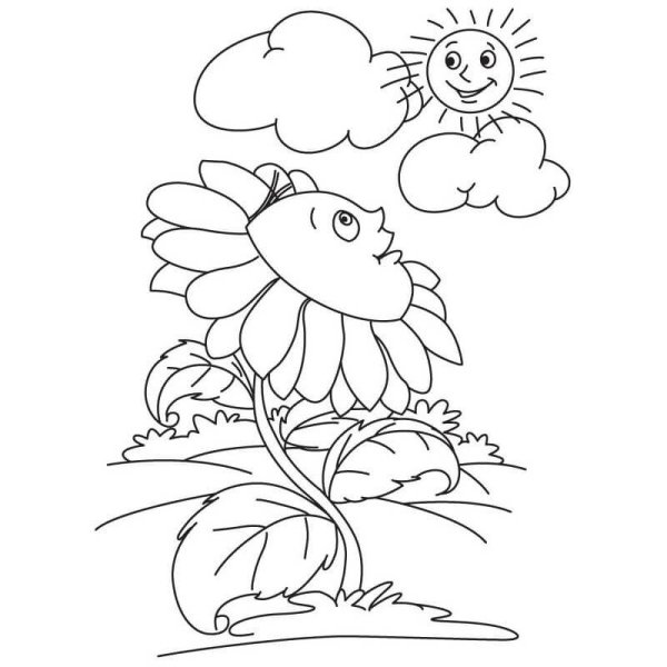 Раскраска природа для детей
