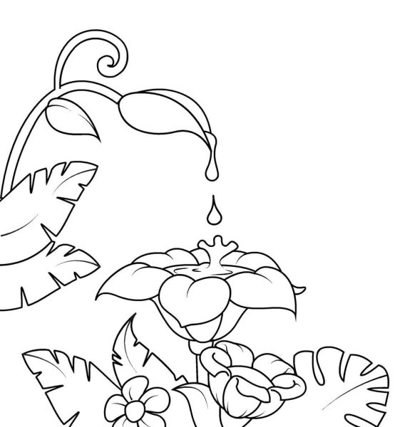 Роса раскраска для детей