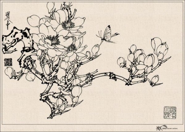 Японские цветы раскраска