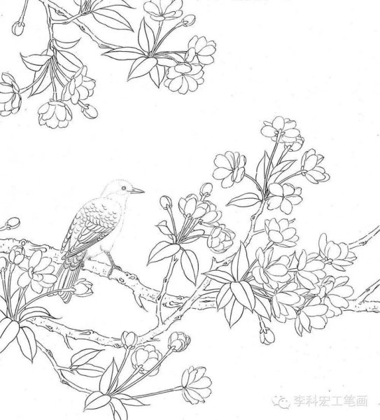 Гунби китайская живопись вишня