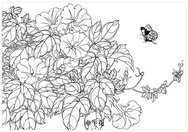 Контурные рисунки