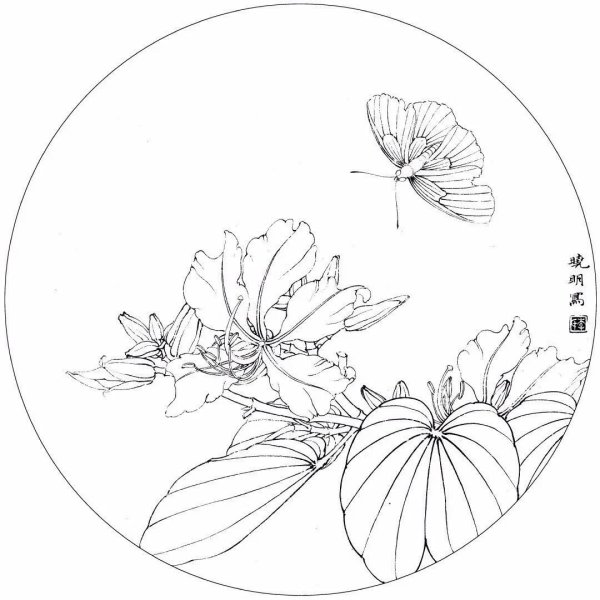 Гунби контуры