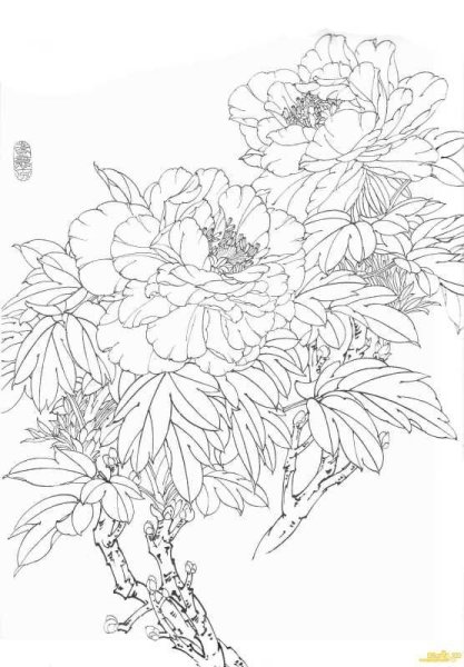 Батик контур пионы