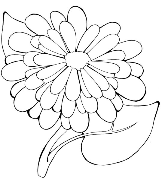 Ромашка раскраска для детей